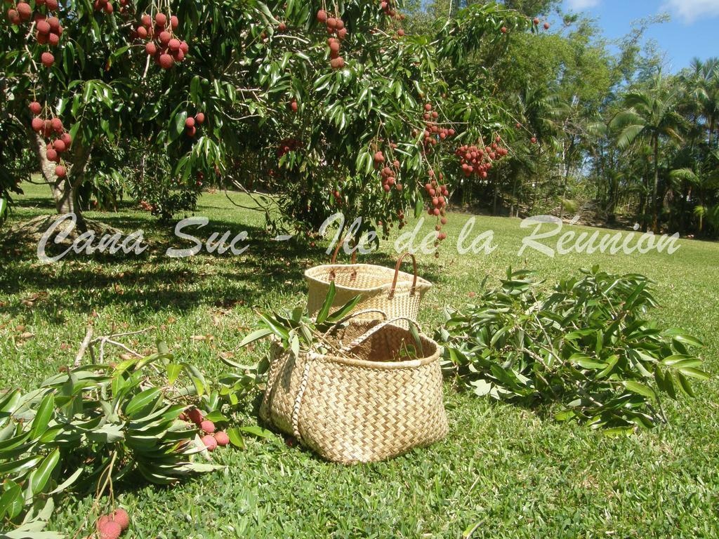 Cana Suc Sainte-Rose Εξωτερικό φωτογραφία